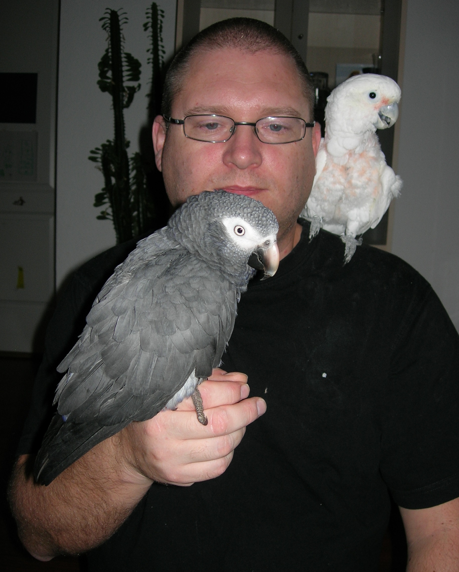 Pjuske & Jaco
